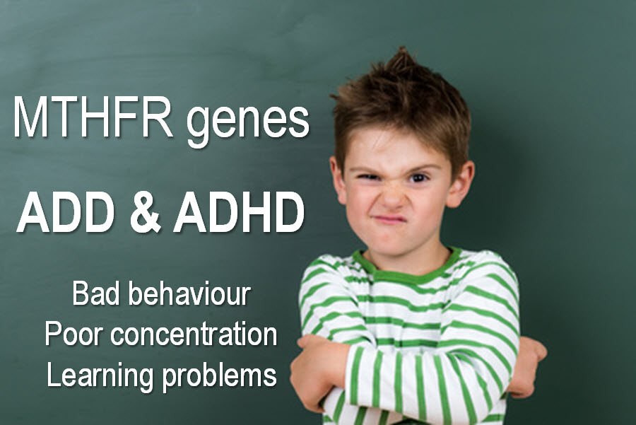 MTHFR & ADHD