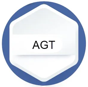 AGT gene mutation