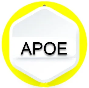 APOE gene mutation