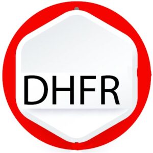 DHFR gene