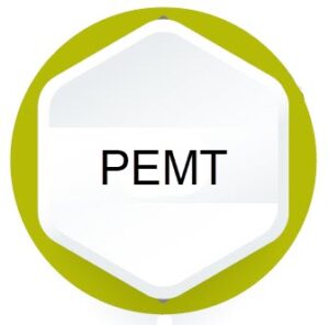 PEMT gene mutation