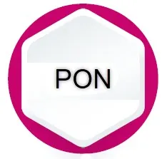 PON gene mutations