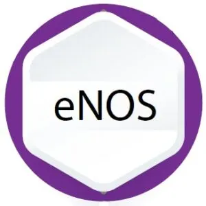 NOS gene mutation