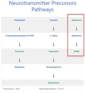 glutamate to GABA conversion