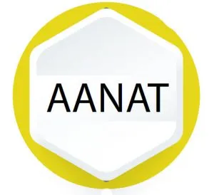 AANAT gene mutation