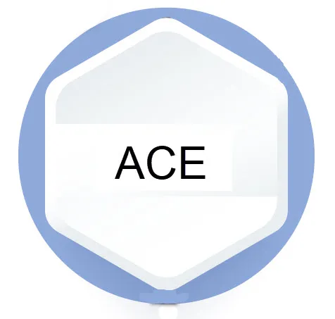ACE gene mutation