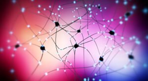 catechol o methyltransferase & catechol o methyltransferase neurons