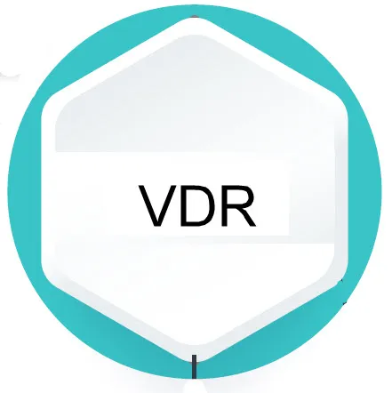 VDR Gene Mutation