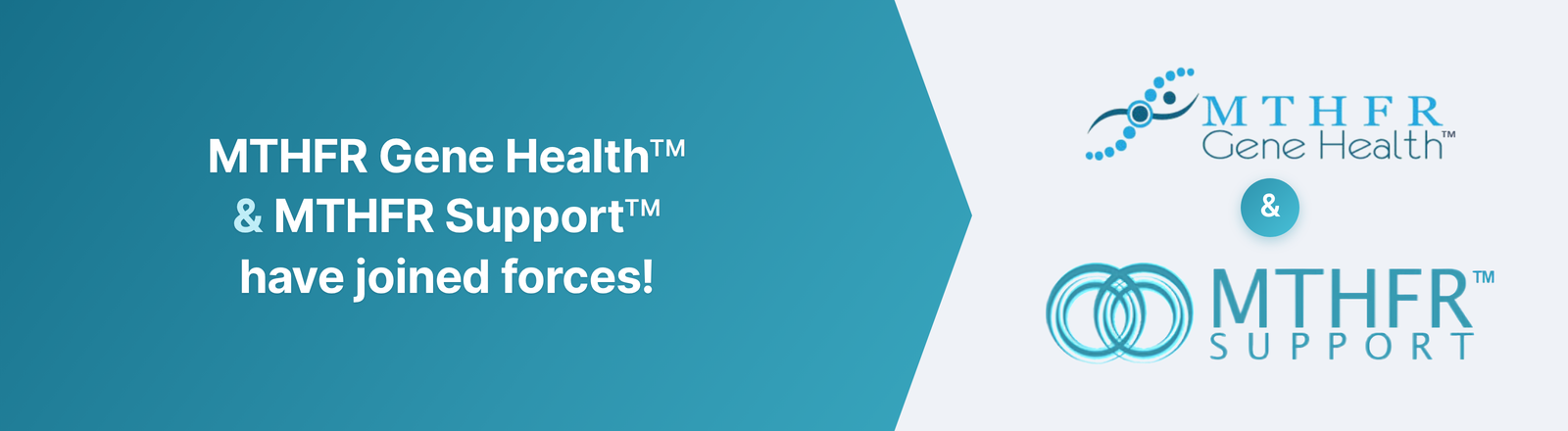 MTHFR Gene Health and MTHFR Support
